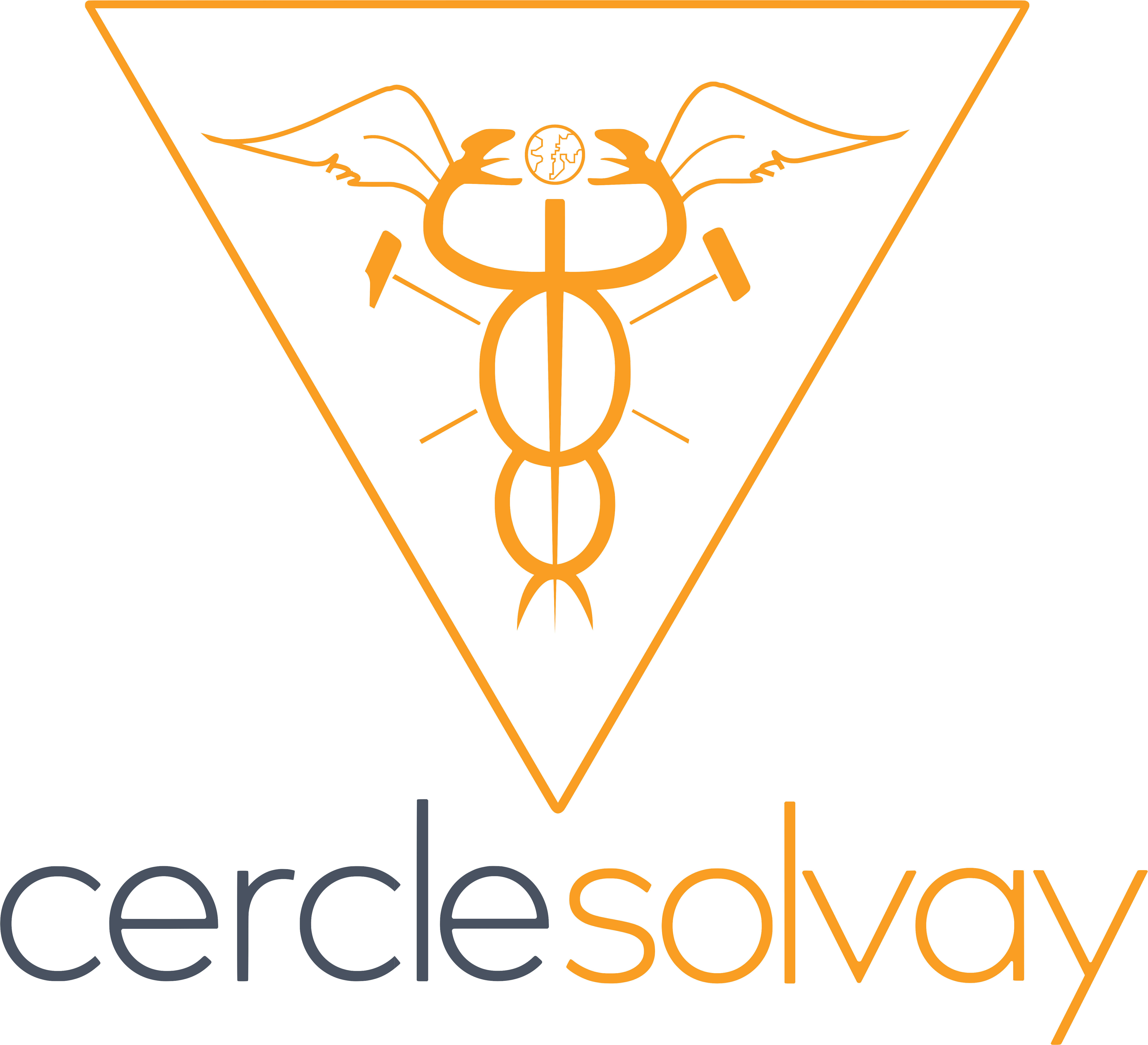 Logo Cercle Solvay